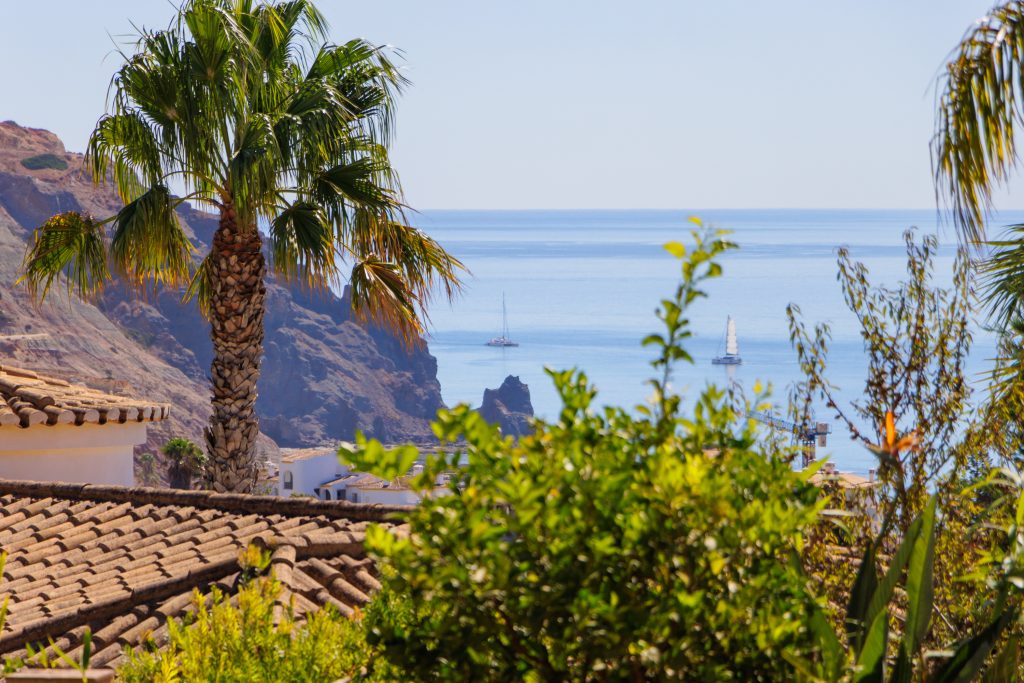 View of the sea from a garden