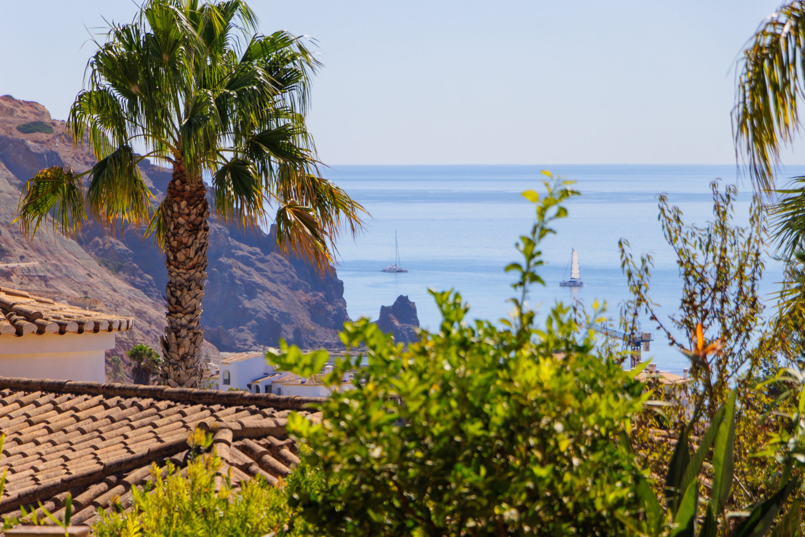 View of the sea from a garden